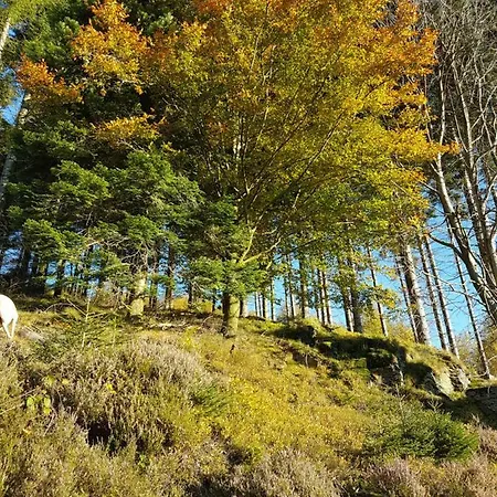 Lägenhet Freundliche Sauerland