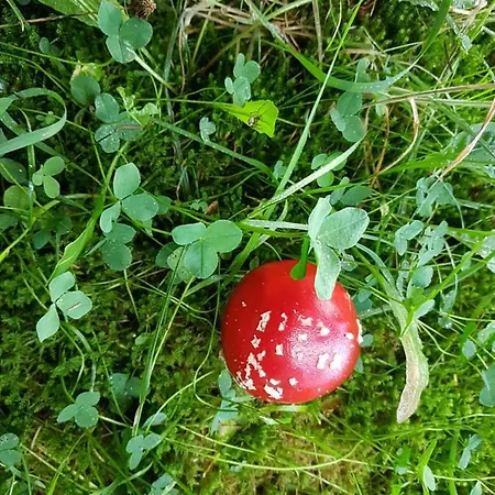 Freundliche Sauerland