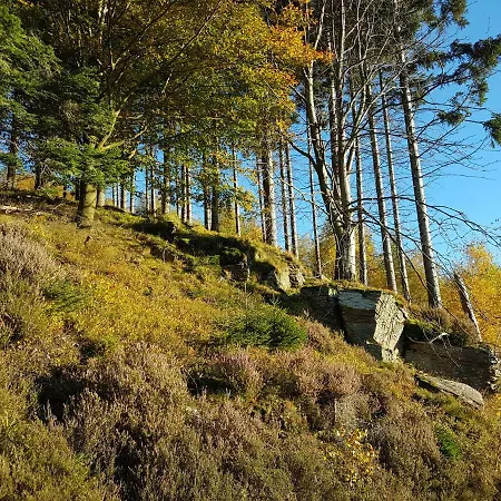 Freundliche Sauerland * Meschede