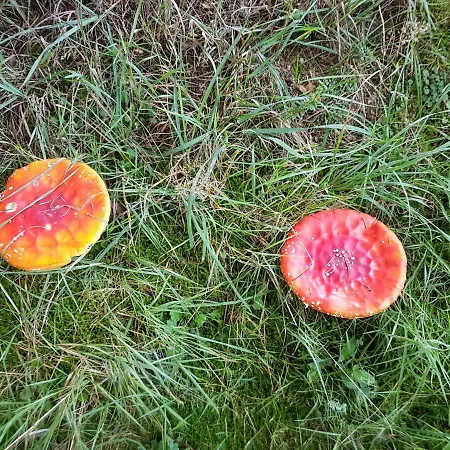 Freundliche Sauerland Мешеде