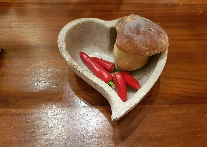 Freundliche Sauerland Appartement