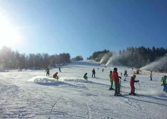 Freundliche Sauerland Appartement *