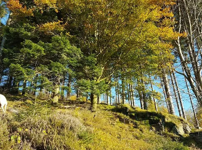 Appartement Freundliche Sauerland