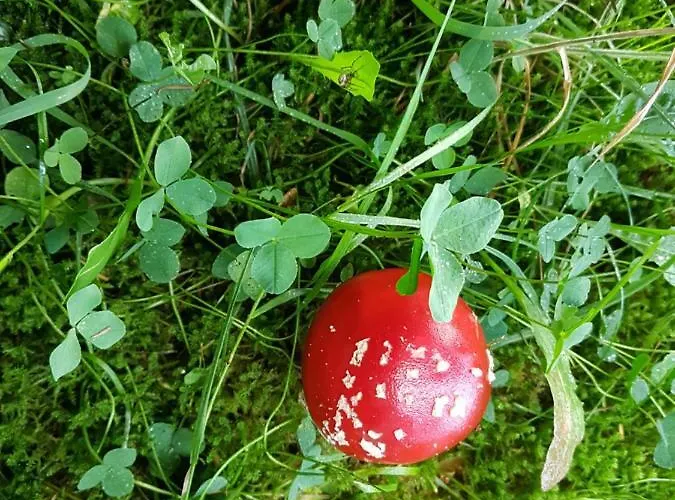 Freundliche Sauerland