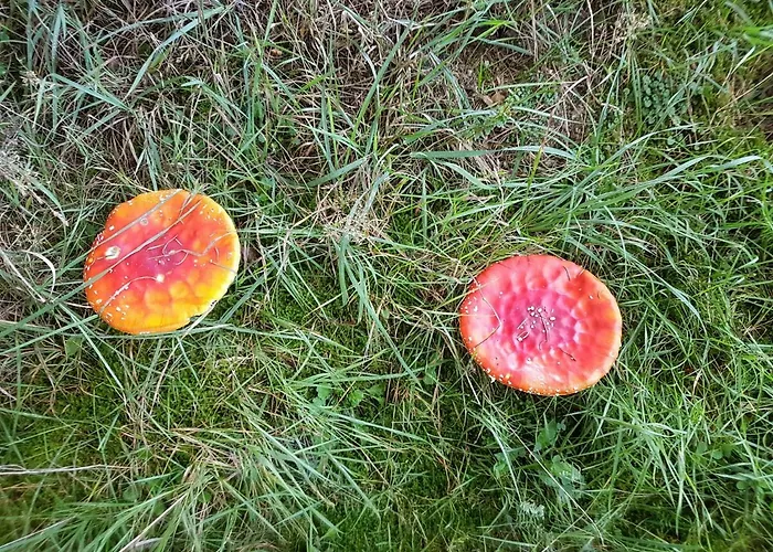 Freundliche Sauerland Meschede